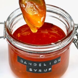 A spoon dripping dandelion honey over a jar filled with the vegan honey.