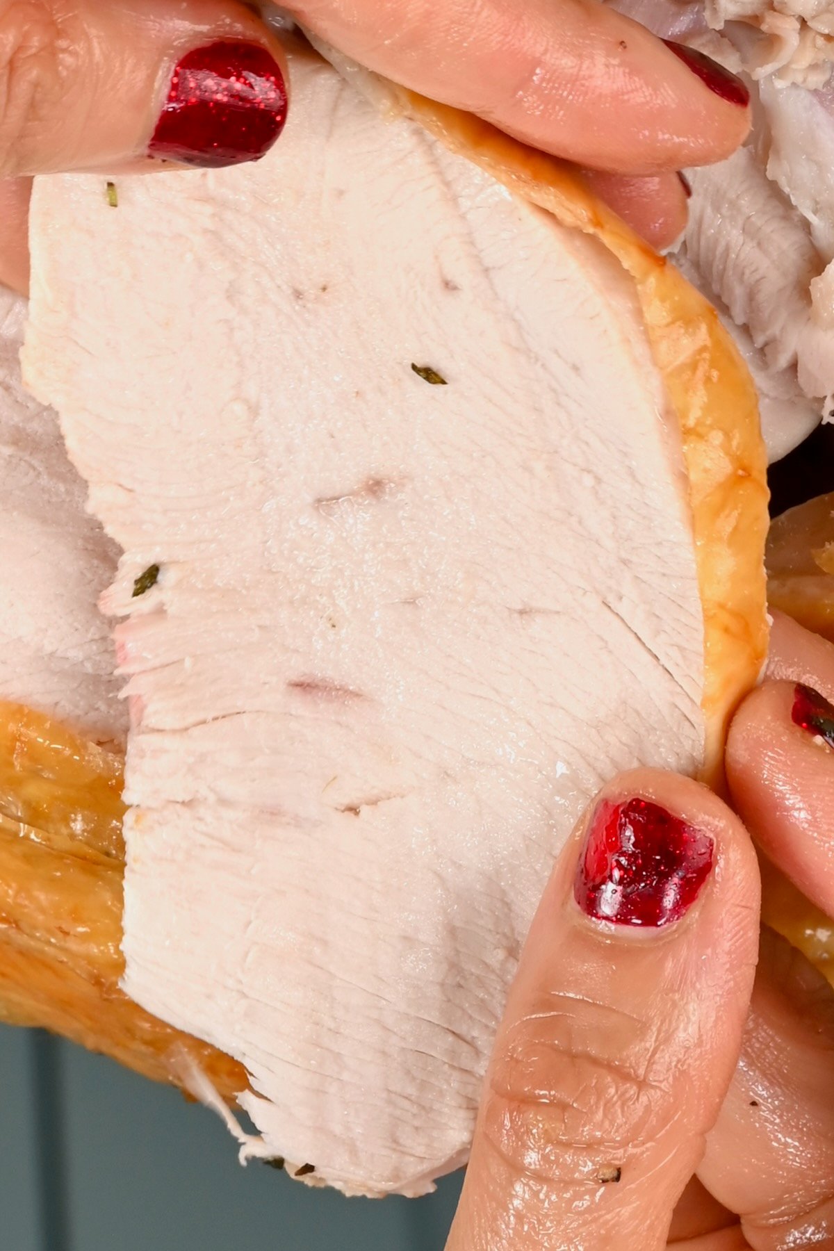 juicy turkey slice shown in in close up being held by hand - 3