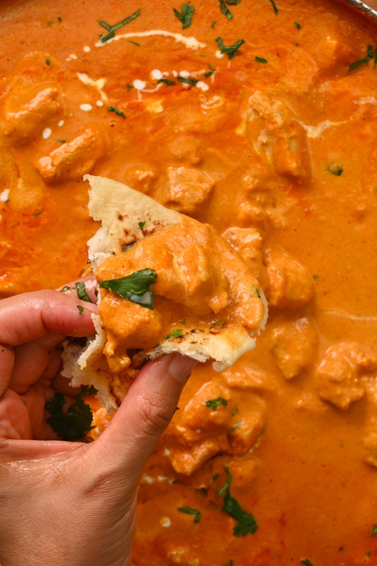 close up of butter chicken in a garlic nan held by hand - 2