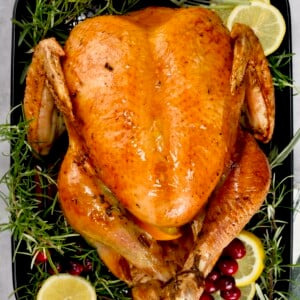 square photo of a roast turkey top view placed on top of herb bed with sliced lemon and fresh cranberries