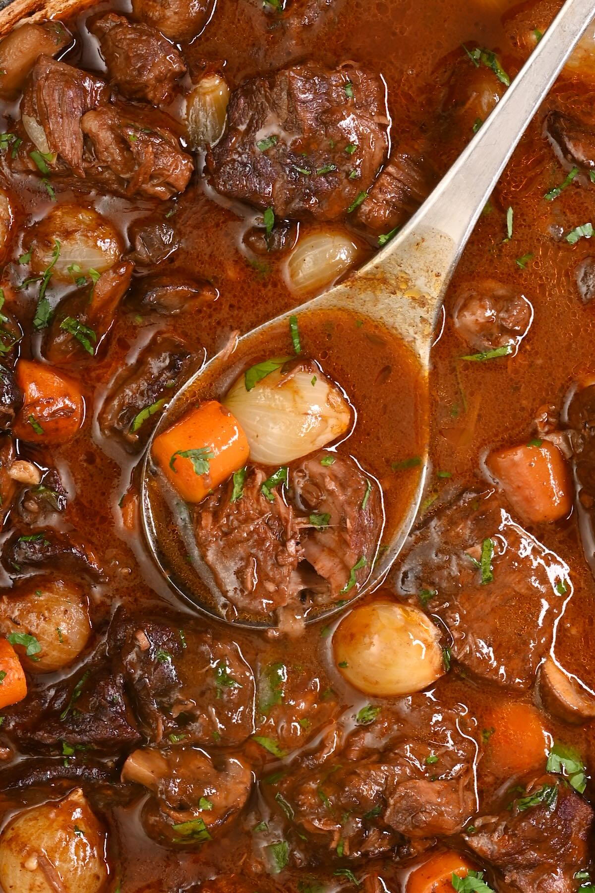 A close-up ladle lifting tender beef, carrots, mushrooms, and pearl onions from a rich beef bourguignon sauce. - 1