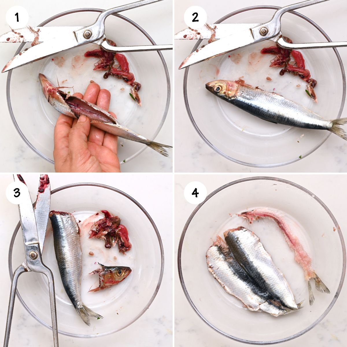 A collage of photos showing how to clean sardines. - 7