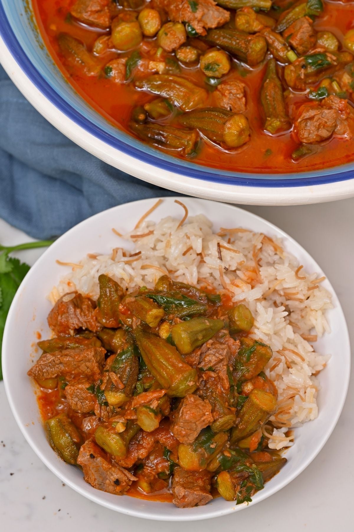 Bamya okra stew served in a dish alongside vermicelli riceCopy of Close-up of the bamya stew base without okra, showing a rich tomato sauce.