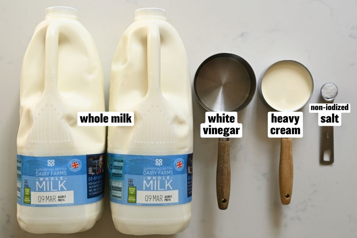 A photo of the ingredients needed to make homemade cottage cheese.