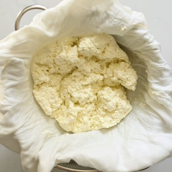 Squeezed milk curds over a cheesecloth.