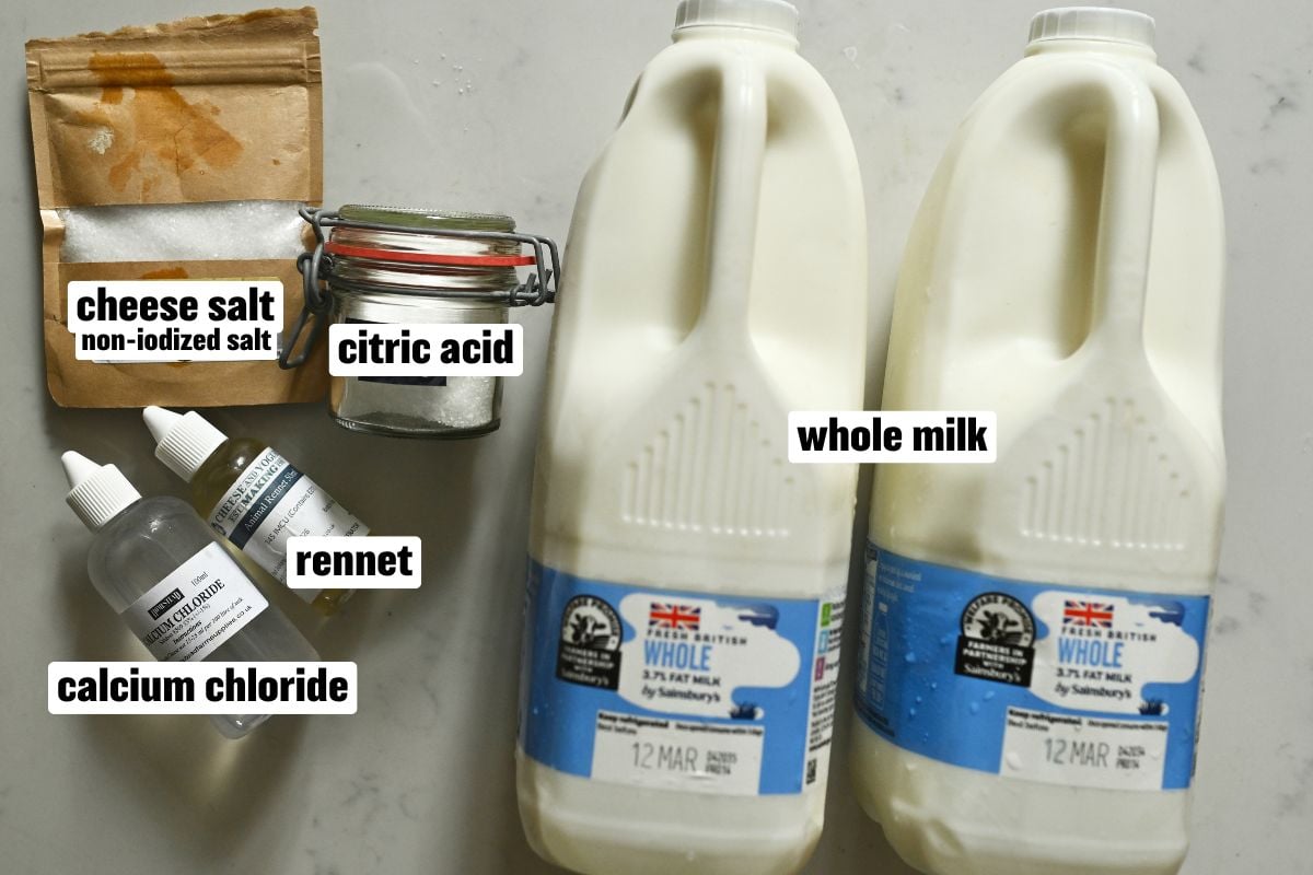 A photo of the ingredients needed to make homemade mozzarella cheese.