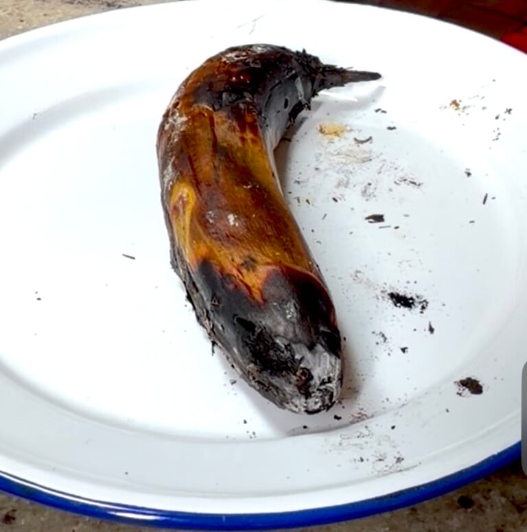 Over-charred banana on a white enamel plate, showing a burnt peel.