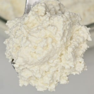 cottage cheese close up