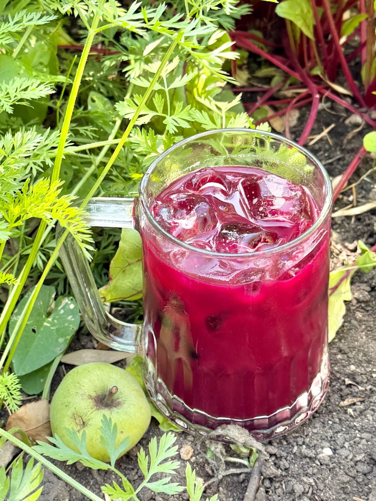 A glass of ABC juice placed on the ground next to carrots, beet, and an apple.