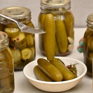 Homemade dill pickles in a bowl with a pickle spear held on a fork and jars of dill pickles in the background.