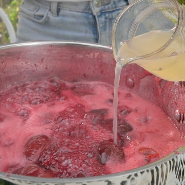 Adding liquid pectin to plum jam.