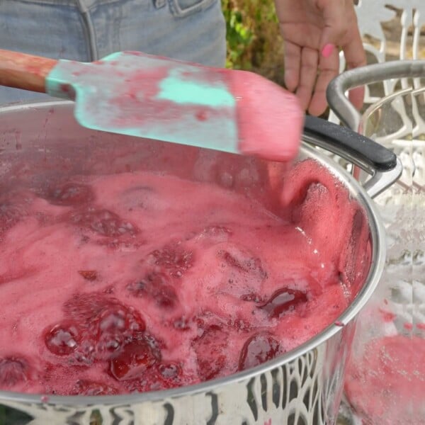 Removing the foam from plum jam.