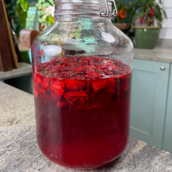 Homemade strawberry cheong made in a large jar.