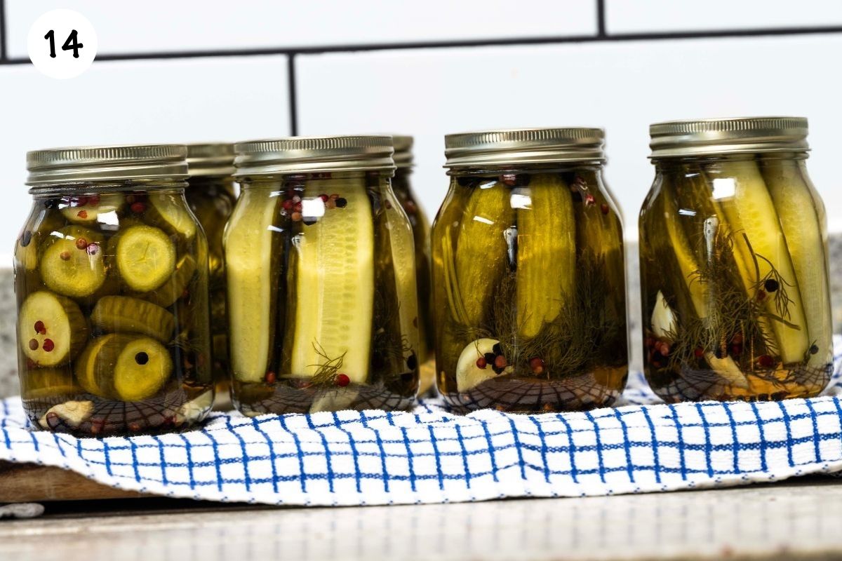 Jars of homemade dill pickles resting on a towel-lined counter to cool after water bath canning.