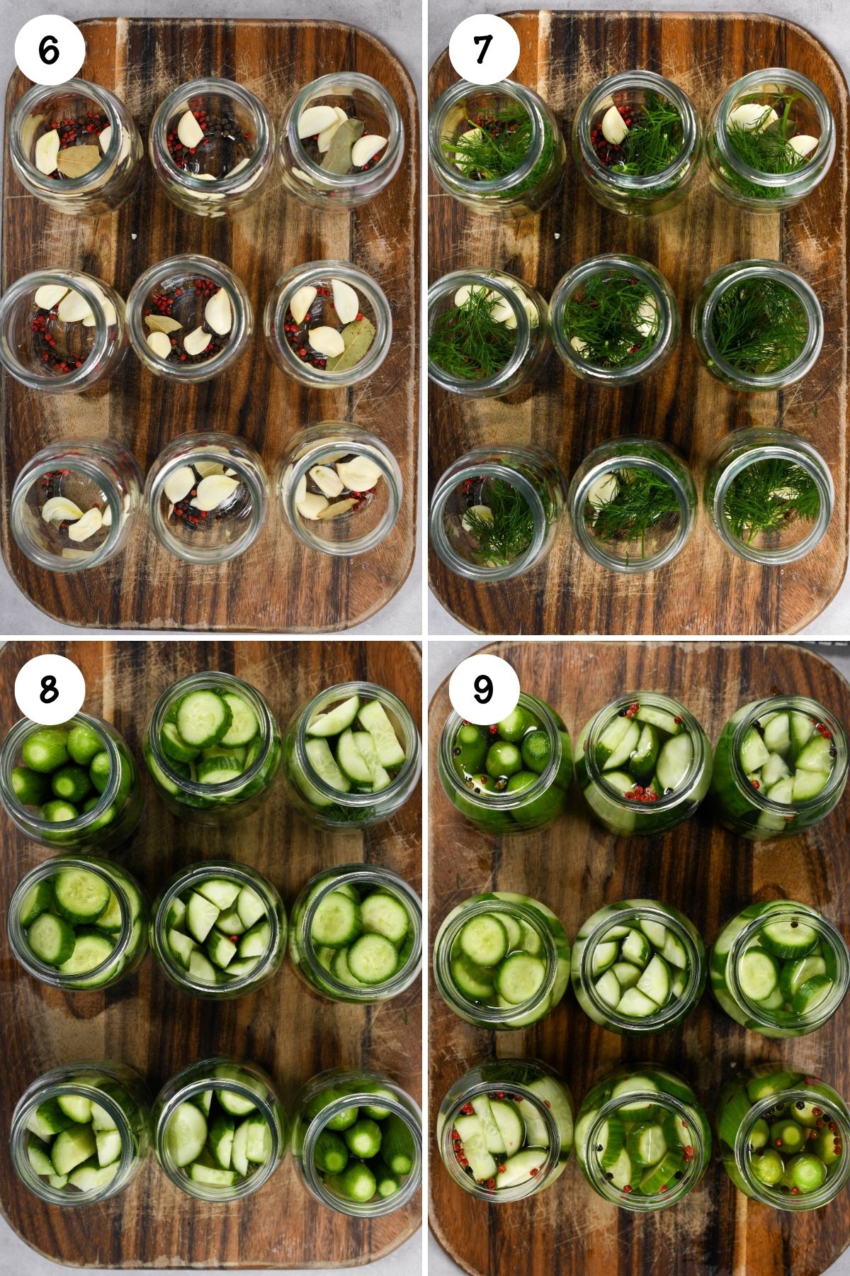 Step-by-step pickle jar collage showing garlic, peppercorns, bay leaves, dill, and cucumbers packed into jars before sealing.