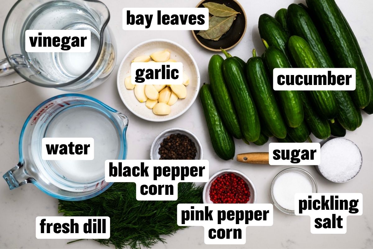 Dill pickle ingredients arranged on a white surface, including cucumbers, vinegar, water, garlic, fresh dill, bay leaves, sugar, pickling salt, black peppercorns, and pink peppercorns.