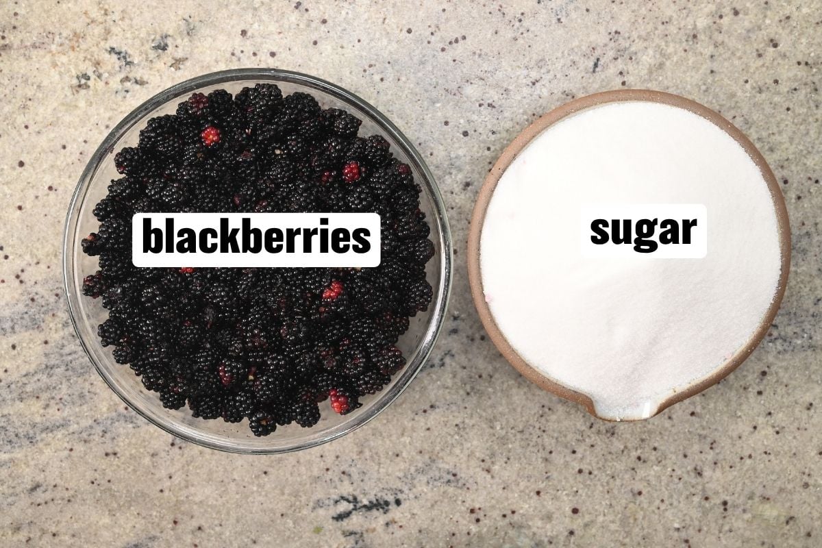 Top-down view of ingredients for blackberry cheong syrup, featuring a glass bowl of fresh blackberries and a ceramic bowl of white granulated sugar on a speckled countertop.