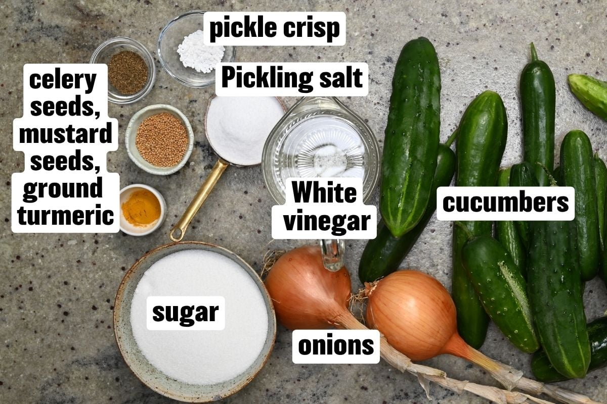 Top-down view of ingredients for bread and butter pickles, including whole cucumbers, onions, sugar, white vinegar, pickling salt, pickle crisp, celery seeds, mustard seeds, and ground turmeric.