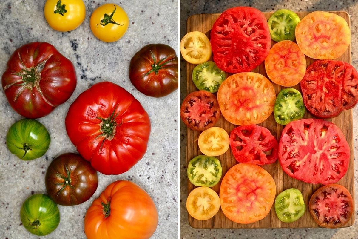 Two-panel comparison showing whole colorful heirloom tomatoes on a countertop next to cross-section slices laid out on a wooden cutting board.