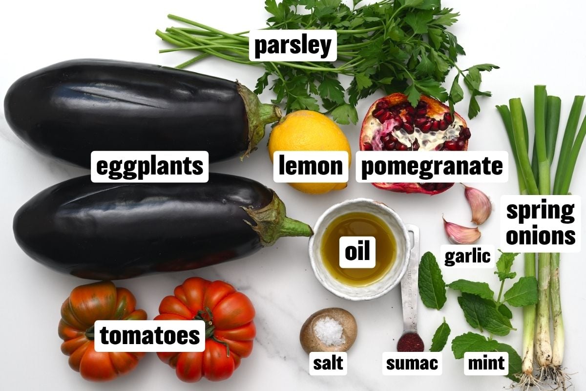 Ingredients needed to make grilled eggplant salad.