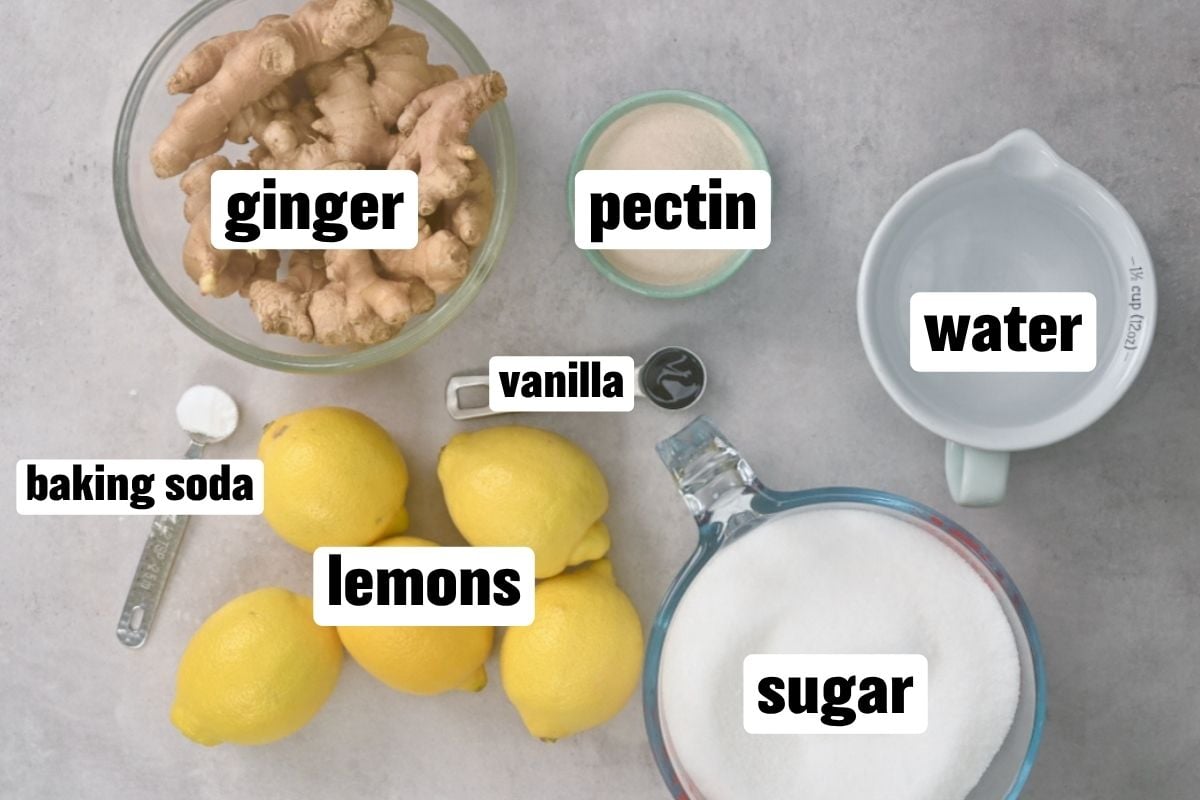 Ingredients needed to make ginger jam.