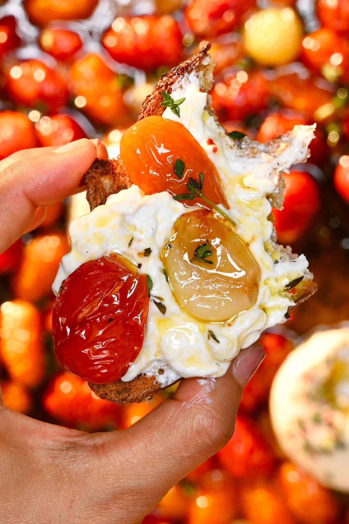 A hand holding a piece of toasted bread spread with creamy burrata, roasted cherry tomatoes, soft garlic, fresh thyme, and olive oil drizzle against a warm blurred background of roasted tomatoes.