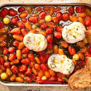 Top-down view of a baking dish filled with roasted cherry tomatoes, garlic, and herbs in olive oil, topped with three rounds of burrata and crusty bread.