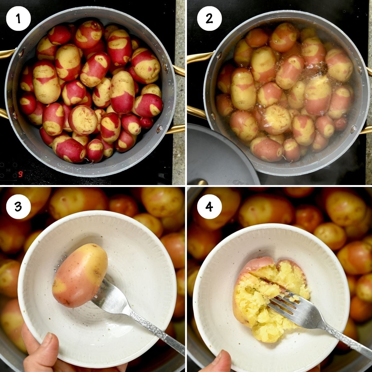 A four-panel grid showing the process of boiling baby red potatoes: panel 1 shows raw potatoes placed in a cooking pot; panel 2 shows the potatoes boiling in hot water; panel 3 shows a cooked potato transferred into a small white bowl; panel 4 shows a fork easily piercing and mashing the cooked potato to test for tender softness.