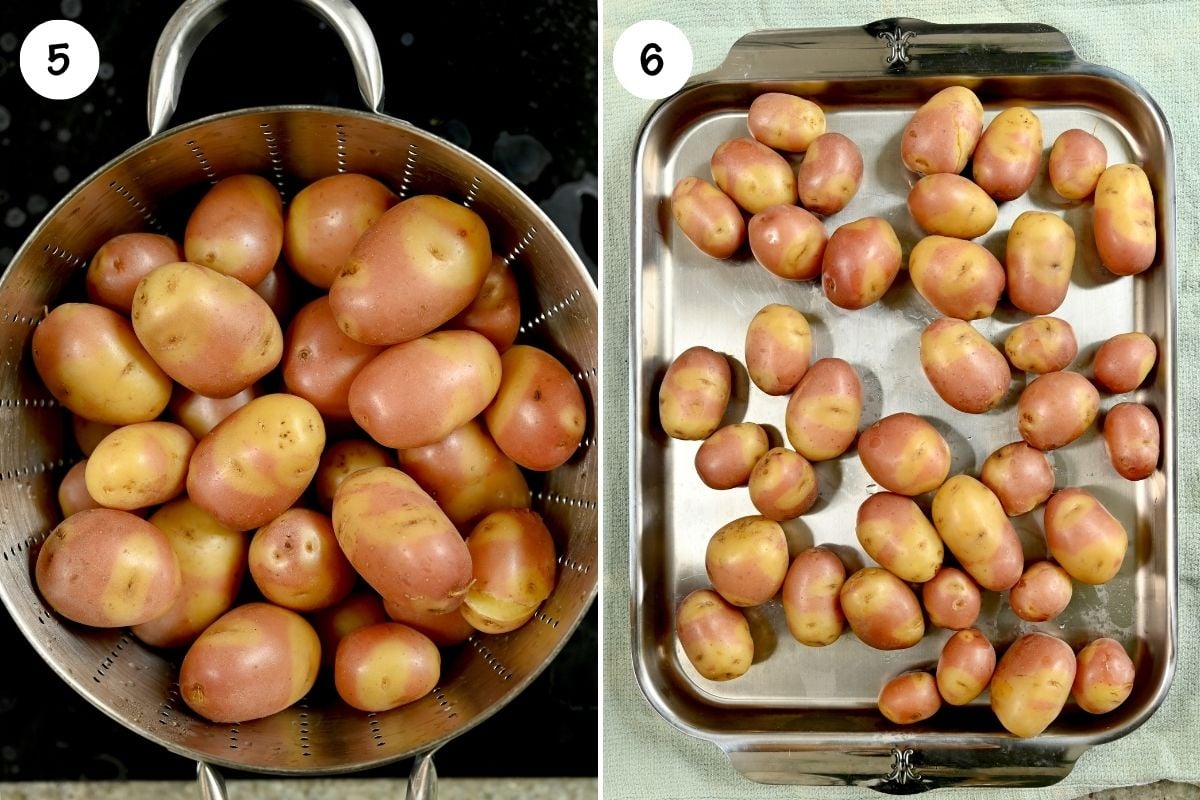 A two-panel image showing boiled baby red potatoes: panel 5 shows the potatoes drained inside a metal colander; panel 6 shows the potatoes transferred and spread out in a single layer on a rectangular metal baking tray.