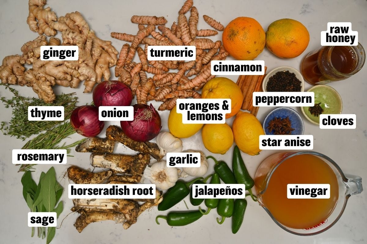 A top-down view of fire cider ingredients arranged on a counter with text labels identifying ginger, turmeric, oranges, lemons, onions, garlic, horseradish root, jalapeños, fresh herbs, whole spices, raw honey, and apple cider vinegar.